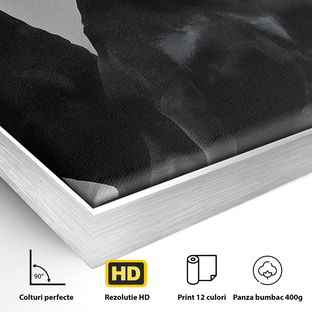 Tablou Canvas Premium, LuxCanva® B1058, Balenciaga Doberman, Decorativ, Birou, Lux, Brand, Salon, Caini, Alb si Negru