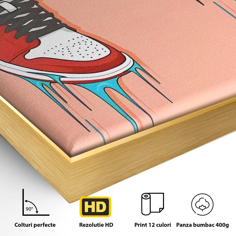 Tablou Canvas Premium, LuxCanva® B1059, Jordan On My Feet, Decorativ, Camera Tineret, Nike, Brand, Air Jordan, Baschet, Culori Vibrante