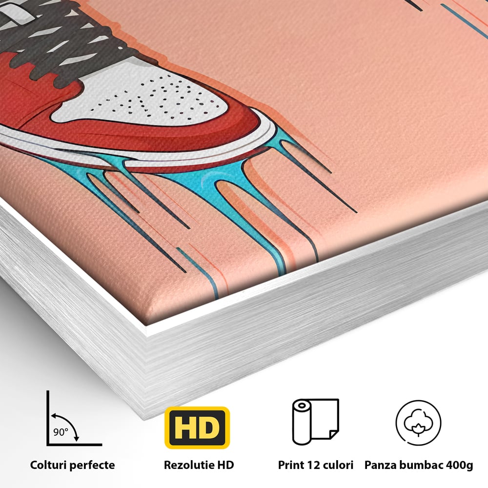Tablou Canvas Premium, LuxCanva® B1059, Jordan On My Feet, Decorativ, Camera Tineret, Nike, Brand, Air Jordan, Baschet, Culori Vibrante