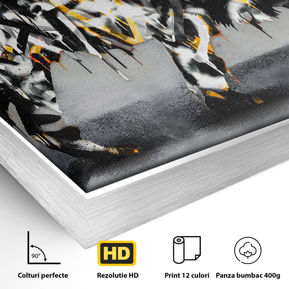 Tablou Canvas Premium LuxCanva® B1063, Graffiti Lion , Decorativ, Living, Leu, Dormitor, Putere, Savana, Colorat