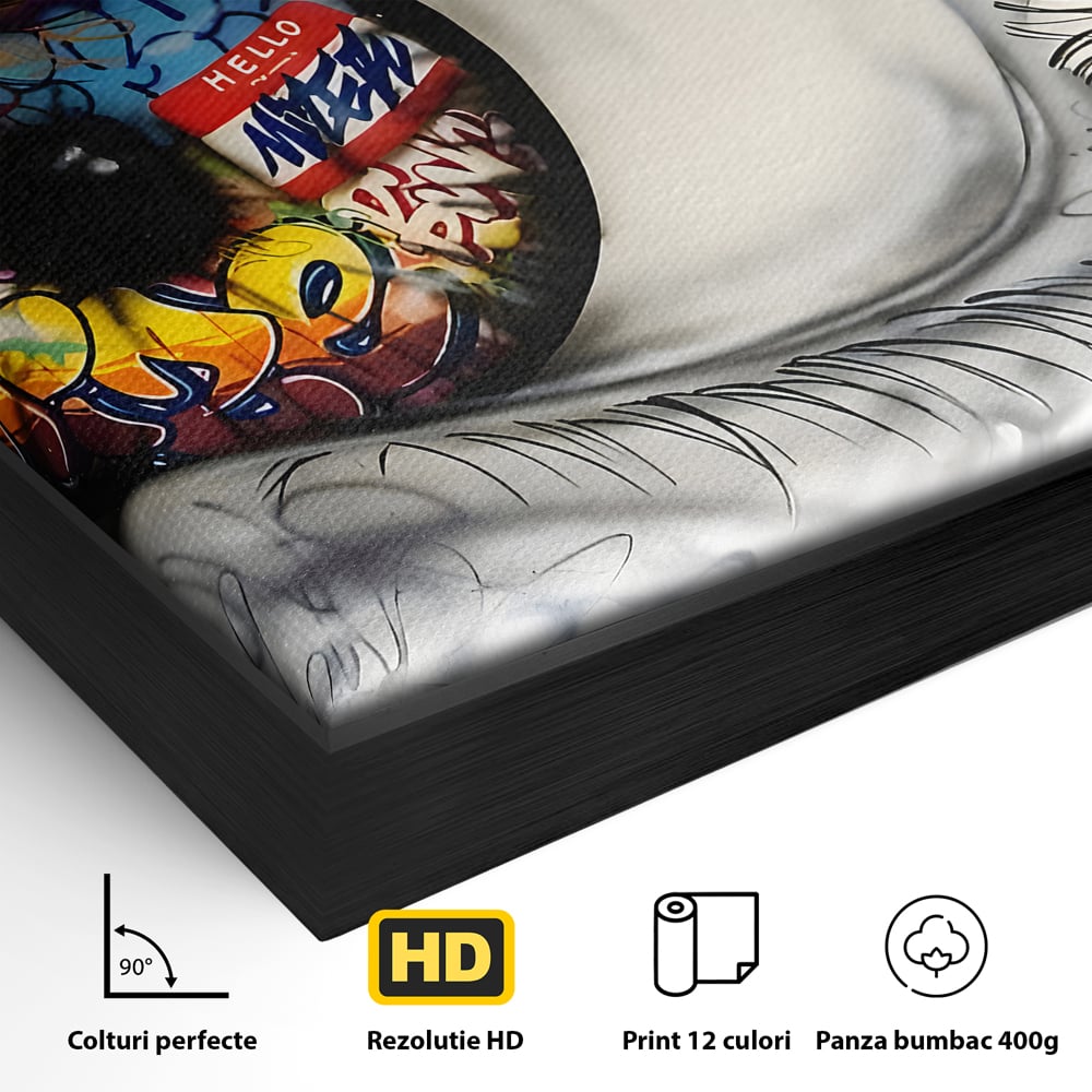Tablou Canvas Premium LuxCanva® B1064 Funky Eye , Decorativ, Living, Ochi, Dormitor, Privire, Colorat