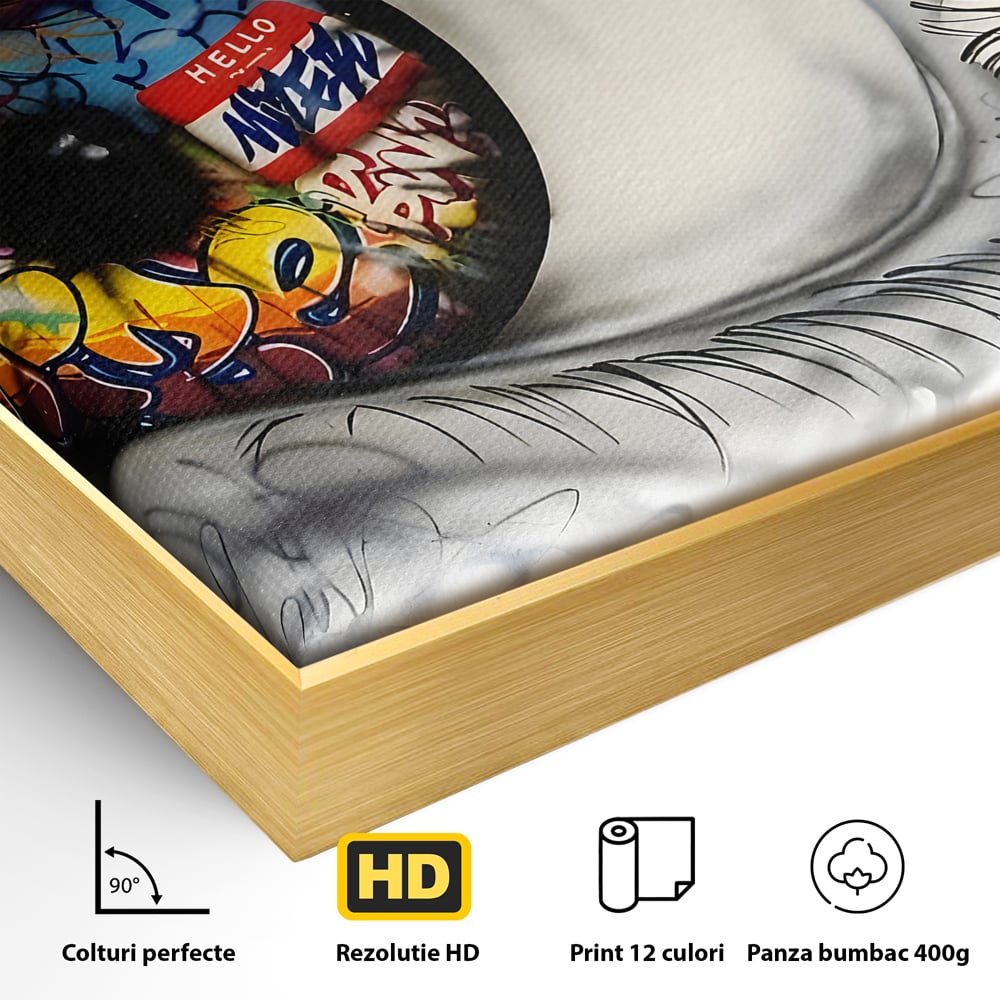 Tablou Canvas Premium LuxCanva® B1064 Funky Eye , Decorativ, Living, Ochi, Dormitor, Privire, Colorat