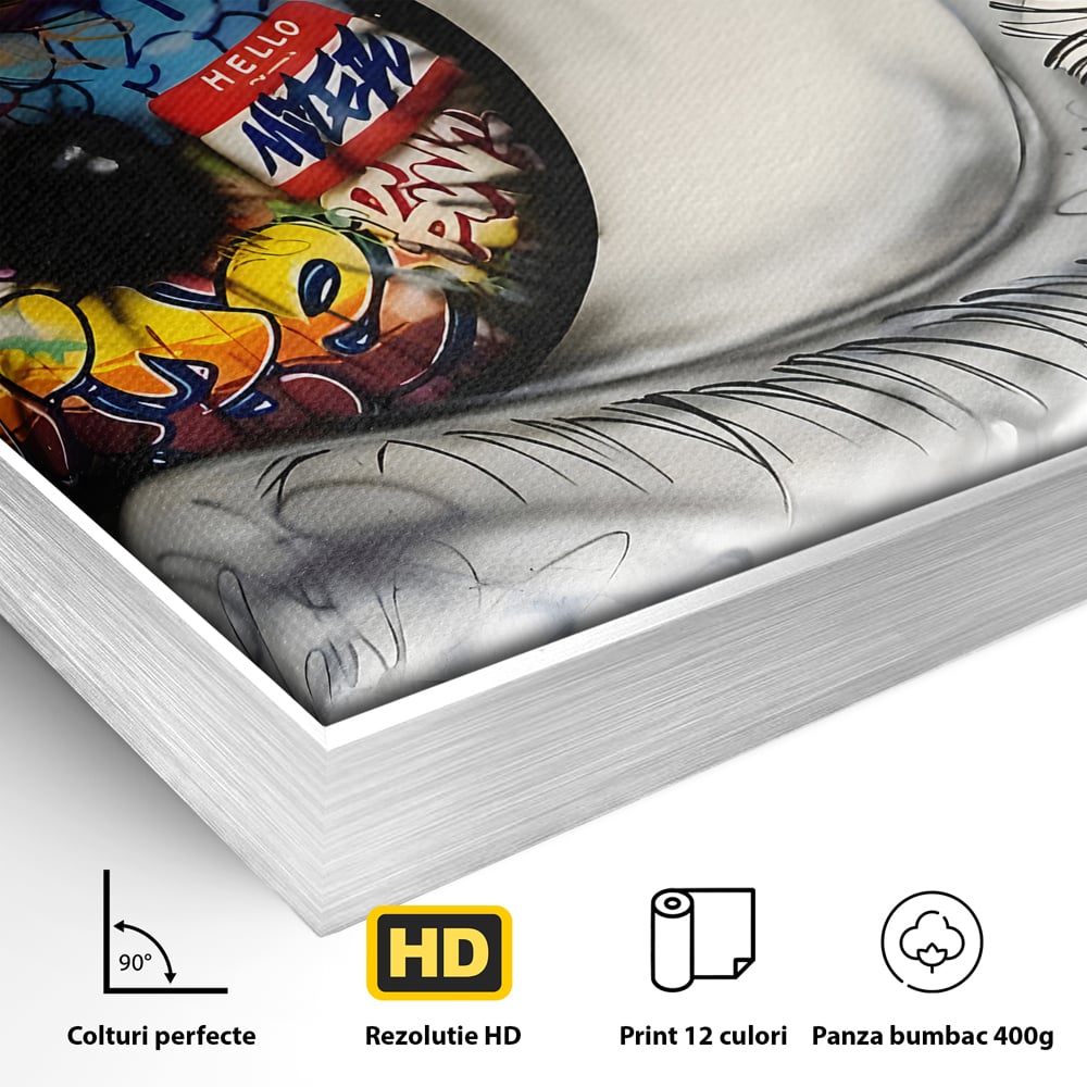 Tablou Canvas Premium LuxCanva® B1064 Funky Eye , Decorativ, Living, Ochi, Dormitor, Privire, Colorat