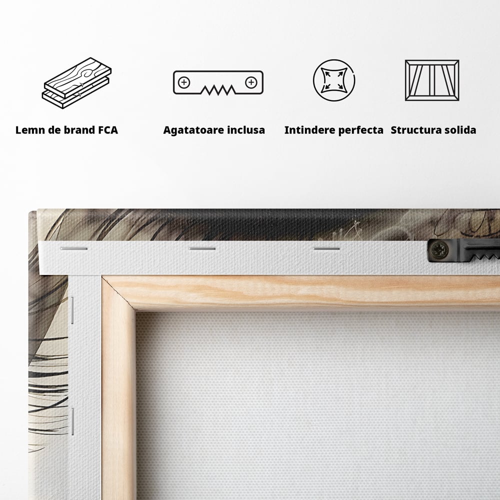Tablou Canvas Premium LuxCanva® B1064 Funky Eye , Decorativ, Living, Ochi, Dormitor, Privire, Colorat