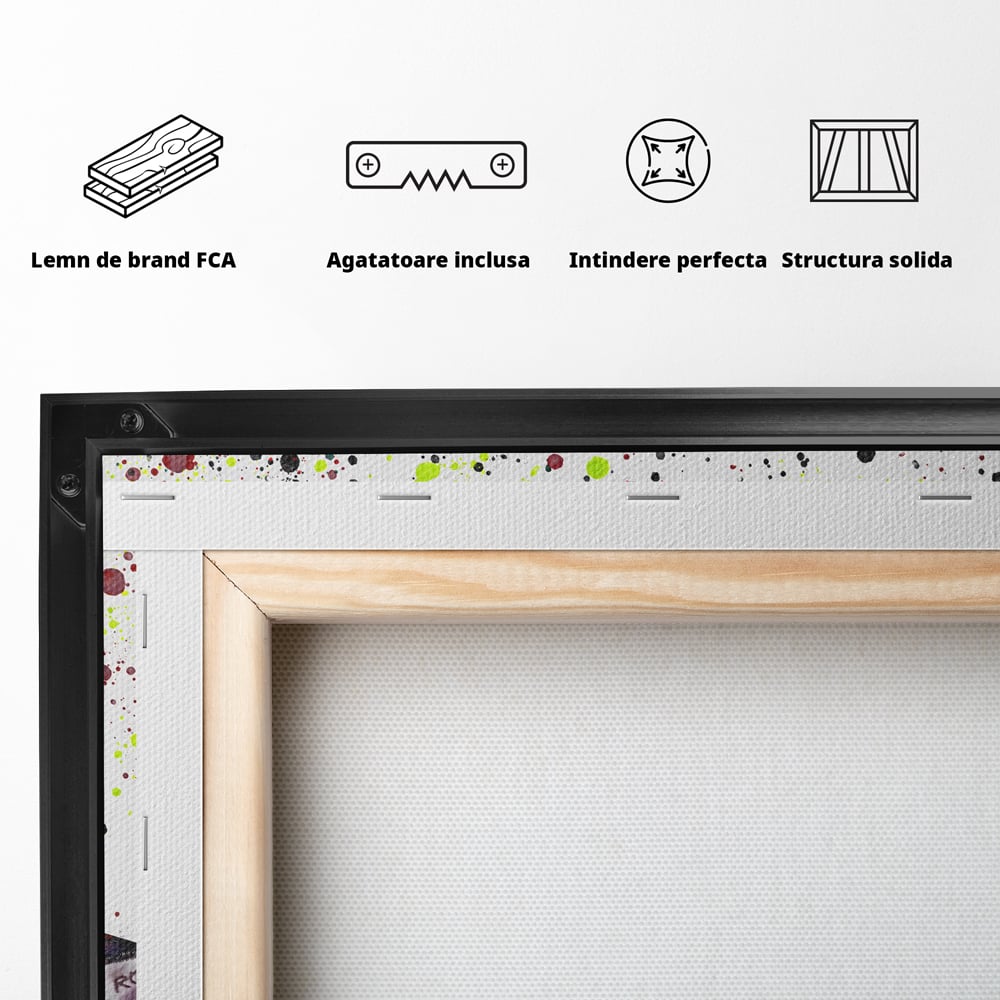 Tablou Canvas Premium LuxCanva® B1076, Air Force 1 , Decorativ, Camera Copii, Nike, America, Baschet, Dormitor, Sport, Incaltaminte, Culori Vibrante