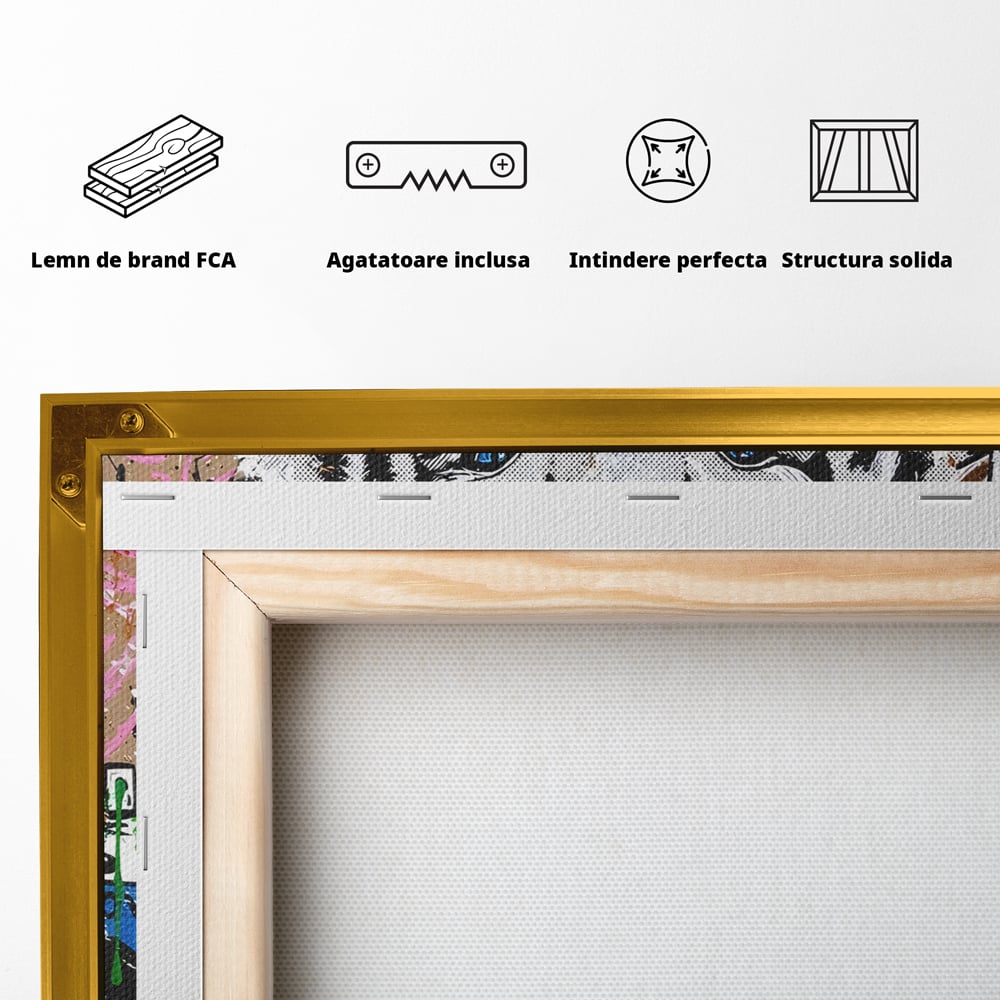 Tablou Canvas Premium LuxCanva® B1081, Be A Dreamer , Living, Tigru, Amy Jade Winehouse, Dormitor, Audrey Hepburn, Mickey, Personaje, Film, Muzica, Culori Vibrante