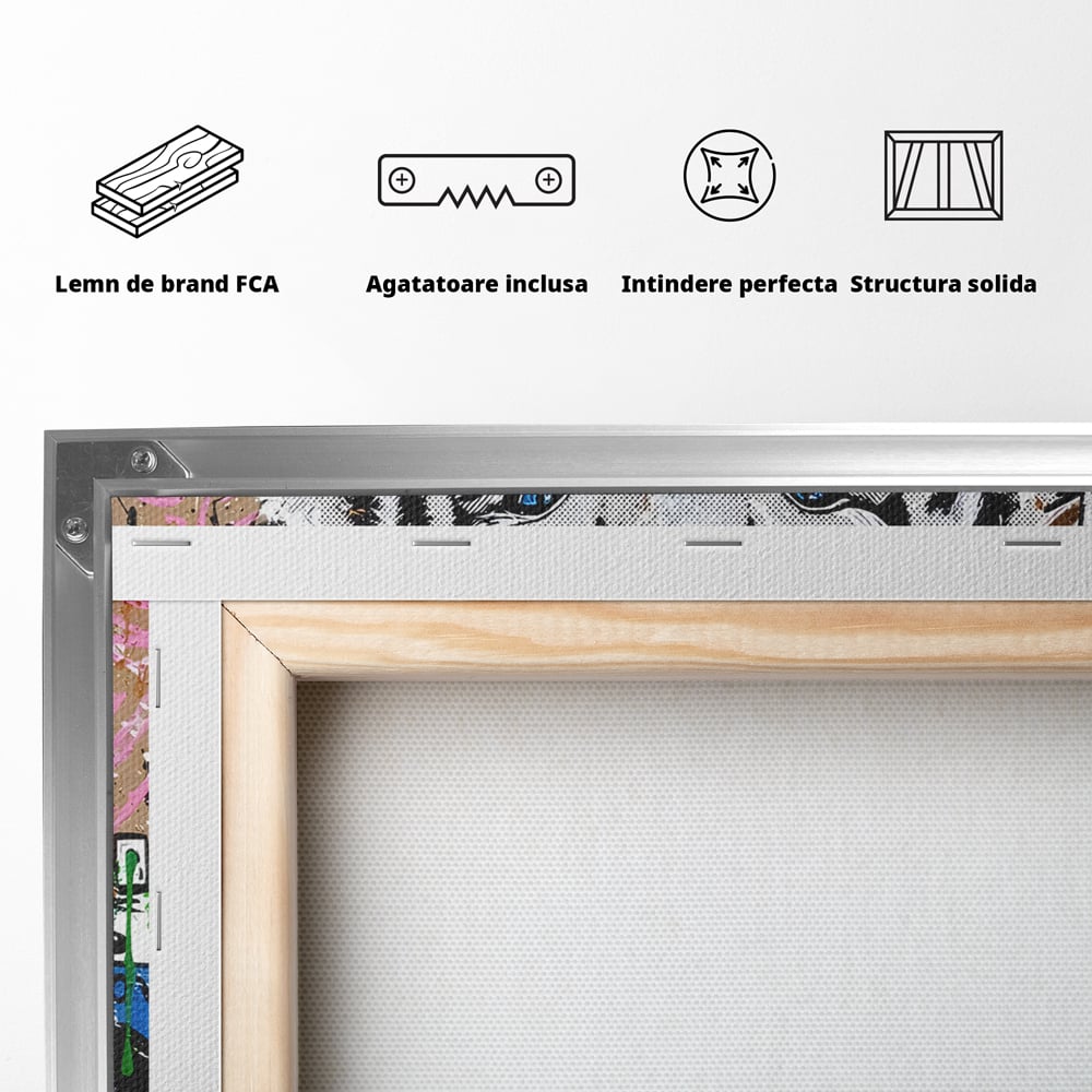 Tablou Canvas Premium LuxCanva® B1081, Be A Dreamer , Living, Tigru, Amy Jade Winehouse, Dormitor, Audrey Hepburn, Mickey, Personaje, Film, Muzica, Culori Vibrante
