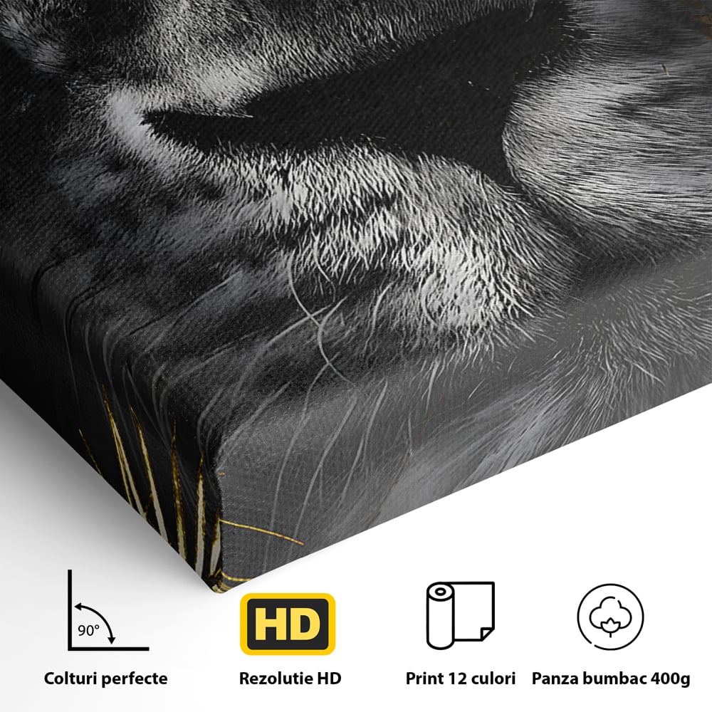Tablou Canvas Premium LuxCanva® B1089, Frumusetea Leului Cu Ochi Albastrii , Birou, Leu, Rege, Savana, Living, Albastru, Negru, Auriu