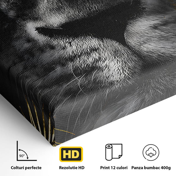 Tablou Canvas Premium LuxCanva® B1089, Frumusetea Leului Cu Ochi Albastrii , Birou, Leu, Rege, Savana, Living, Albastru, Negru, Auriu