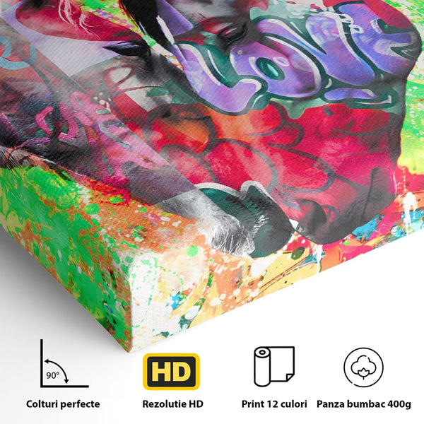 Tablou Canvas Premium LuxCanva® B1098, Cai Conectati Prin Iubire , Living, Cai, Graffiti, Iubire, Birou, Pop Art, Culori Vibrante
