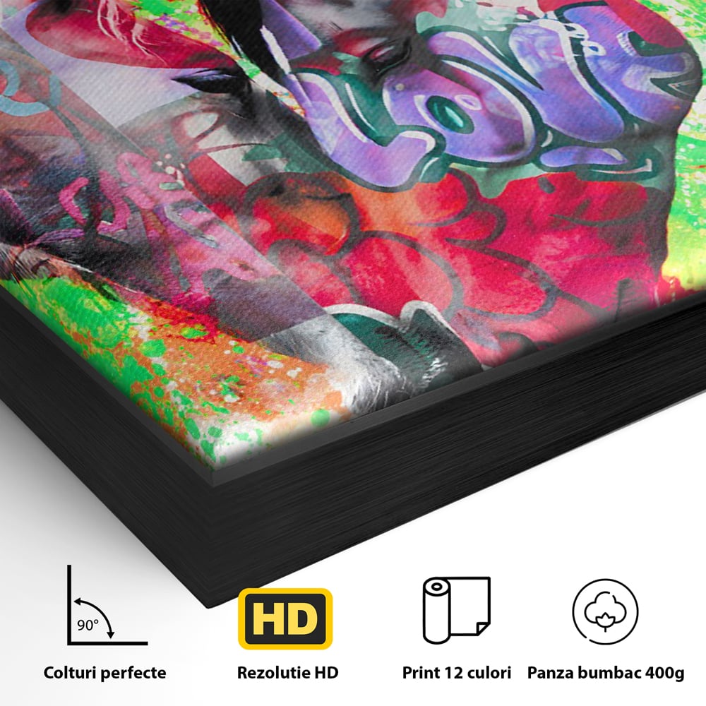 Tablou Canvas Premium LuxCanva® B1098, Cai Conectati Prin Iubire , Living, Cai, Graffiti, Iubire, Birou, Pop Art, Culori Vibrante