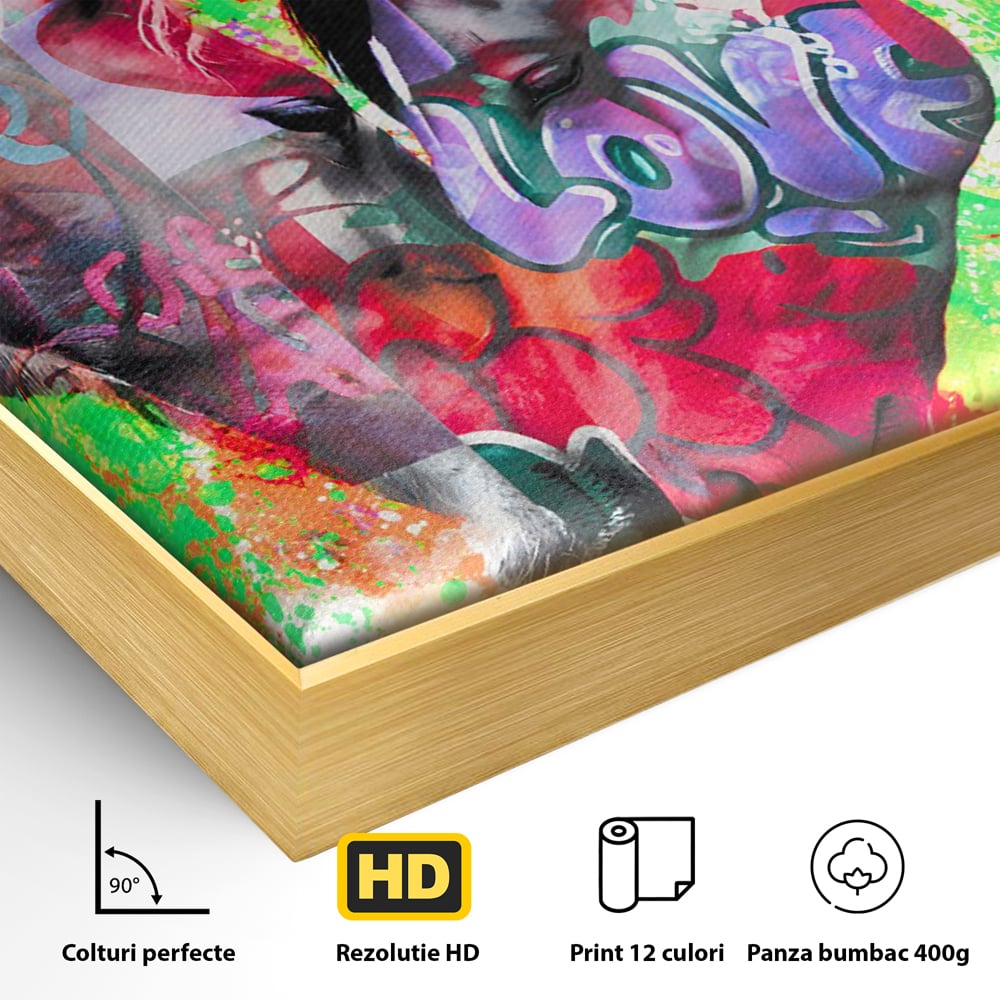Tablou Canvas Premium LuxCanva® B1098, Cai Conectati Prin Iubire , Living, Cai, Graffiti, Iubire, Birou, Pop Art, Culori Vibrante