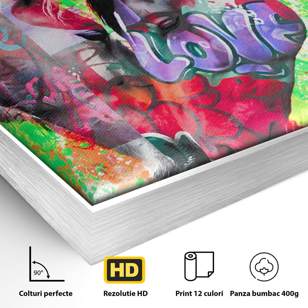 Tablou Canvas Premium LuxCanva® B1098, Cai Conectati Prin Iubire , Living, Cai, Graffiti, Iubire, Birou, Pop Art, Culori Vibrante