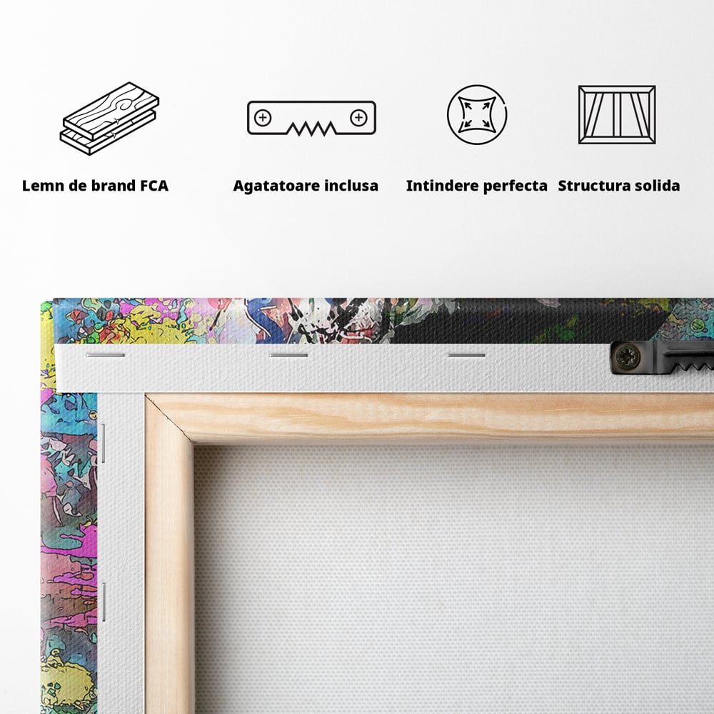 Tablou Canvas Premium LuxCanva® B1101, Grafitti Boy , Dormitor, Tanar, Baiat, Telefon, Mesaje, Living, Culori Vibrante