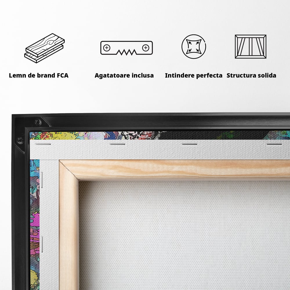 Tablou Canvas Premium LuxCanva® B1101, Grafitti Boy , Dormitor, Tanar, Baiat, Telefon, Mesaje, Living, Culori Vibrante