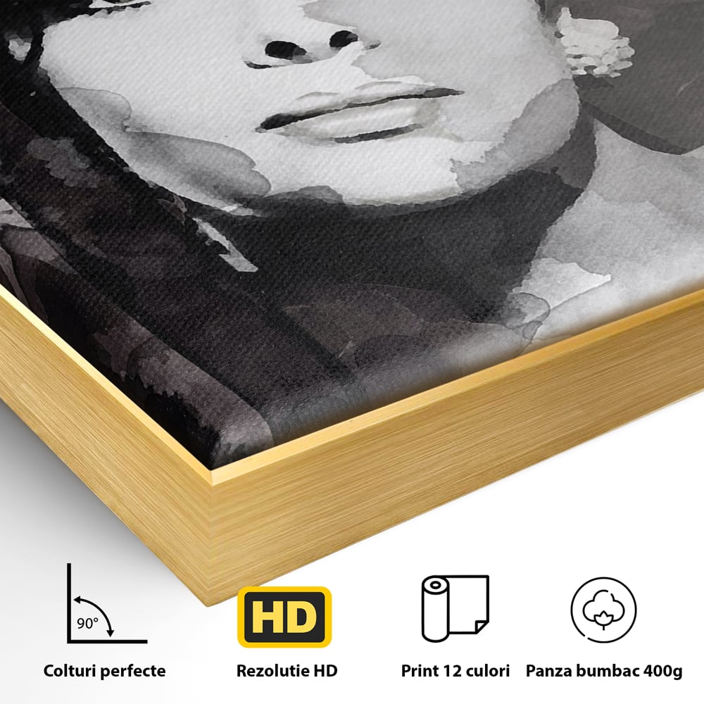 Tablou Canvas Premium LuxCanva® B1134, Diva Sophia Loren , Femeie, Living, Actrita, Italia, Fashion Icon, Dormitor, Celebritate, Oscar