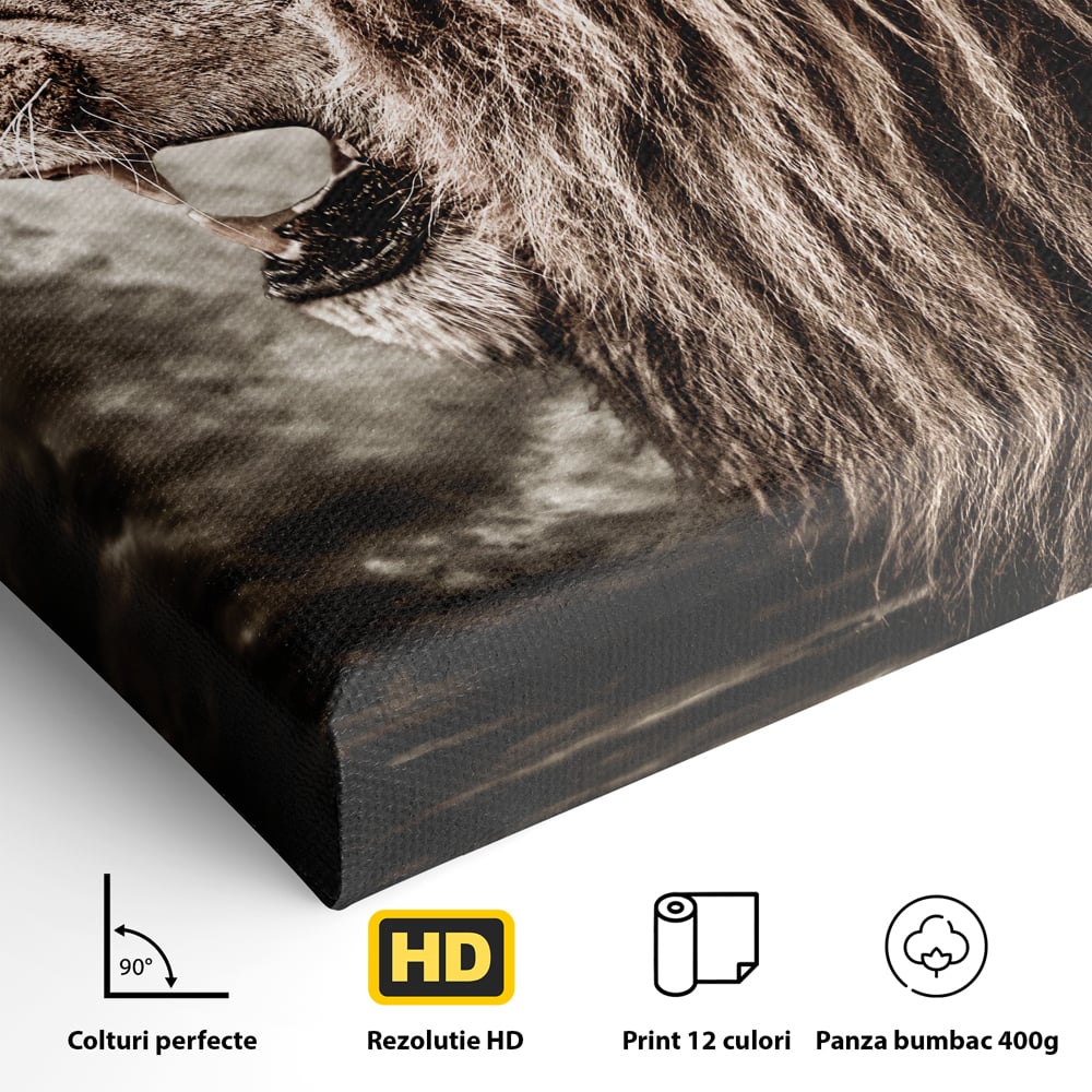 Tablou Canvas Premium LuxCanva® C1002, Leading Lion ,  Living, Leu, Lider, Neinfricat, Dormitor, Culori Vibrante