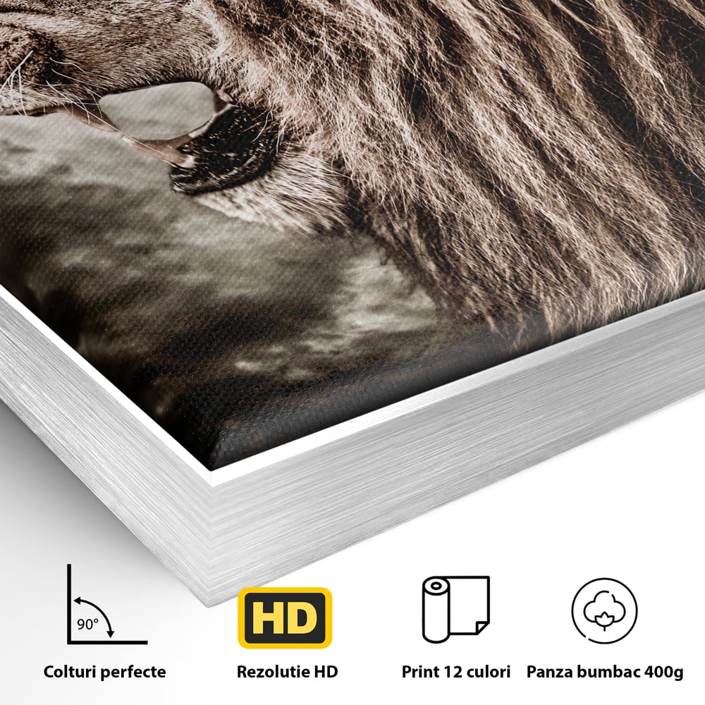 Tablou Canvas Premium LuxCanva® C1002, Leading Lion ,  Living, Leu, Lider, Neinfricat, Dormitor, Culori Vibrante