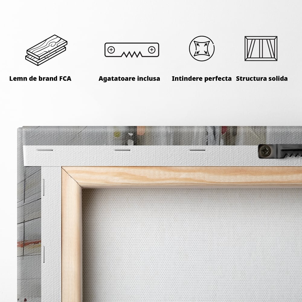 Tablou Canvas Premium LuxCanva® C1013, Abstract ,  Abstract, Culori, Living, Dormitor, Birou, Relaxare, Culori Vibrante