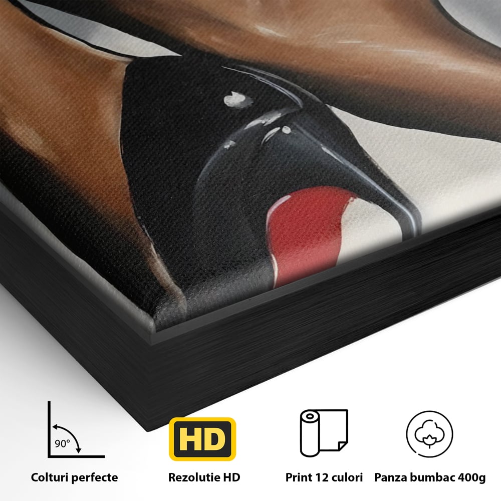 Tablou Canvas Premium LuxCanva® C1015, Pantofi Cu Toc Cui , Pantofi, Culori, Mesaj, Living, Dormitor, Birou, Relaxare, Culori Vibrante