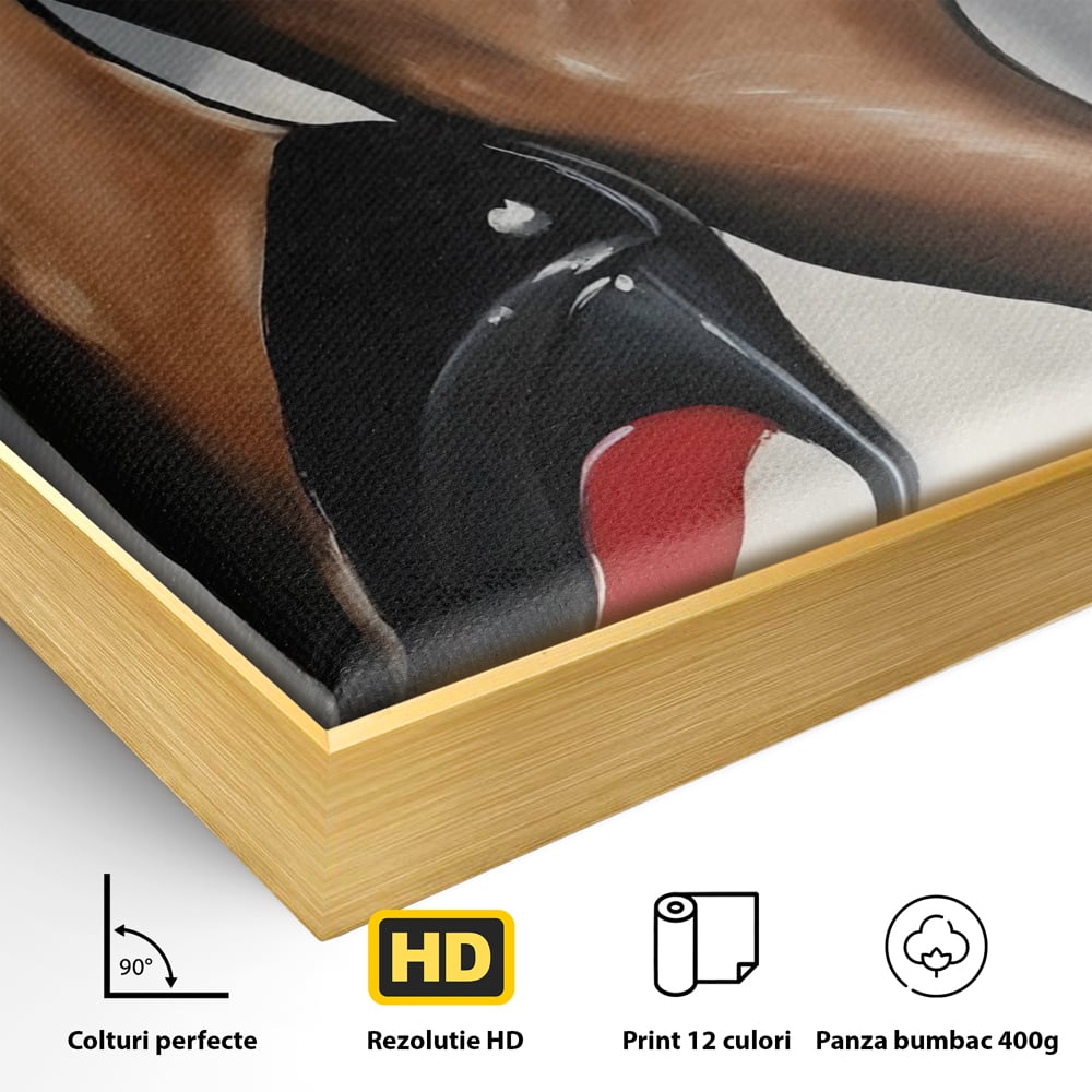 Tablou Canvas Premium LuxCanva® C1015, Pantofi Cu Toc Cui , Pantofi, Culori, Mesaj, Living, Dormitor, Birou, Relaxare, Culori Vibrante