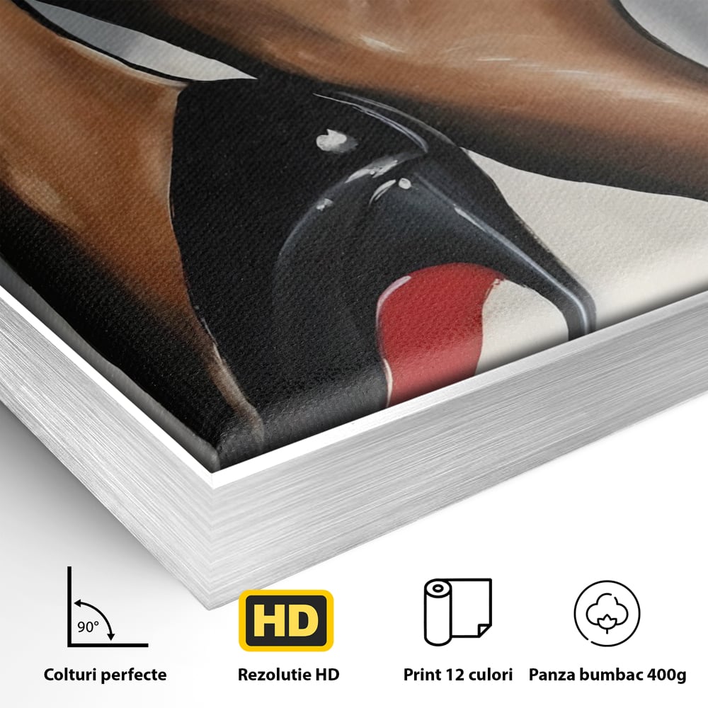 Tablou Canvas Premium LuxCanva® C1015, Pantofi Cu Toc Cui , Pantofi, Culori, Mesaj, Living, Dormitor, Birou, Relaxare, Culori Vibrante