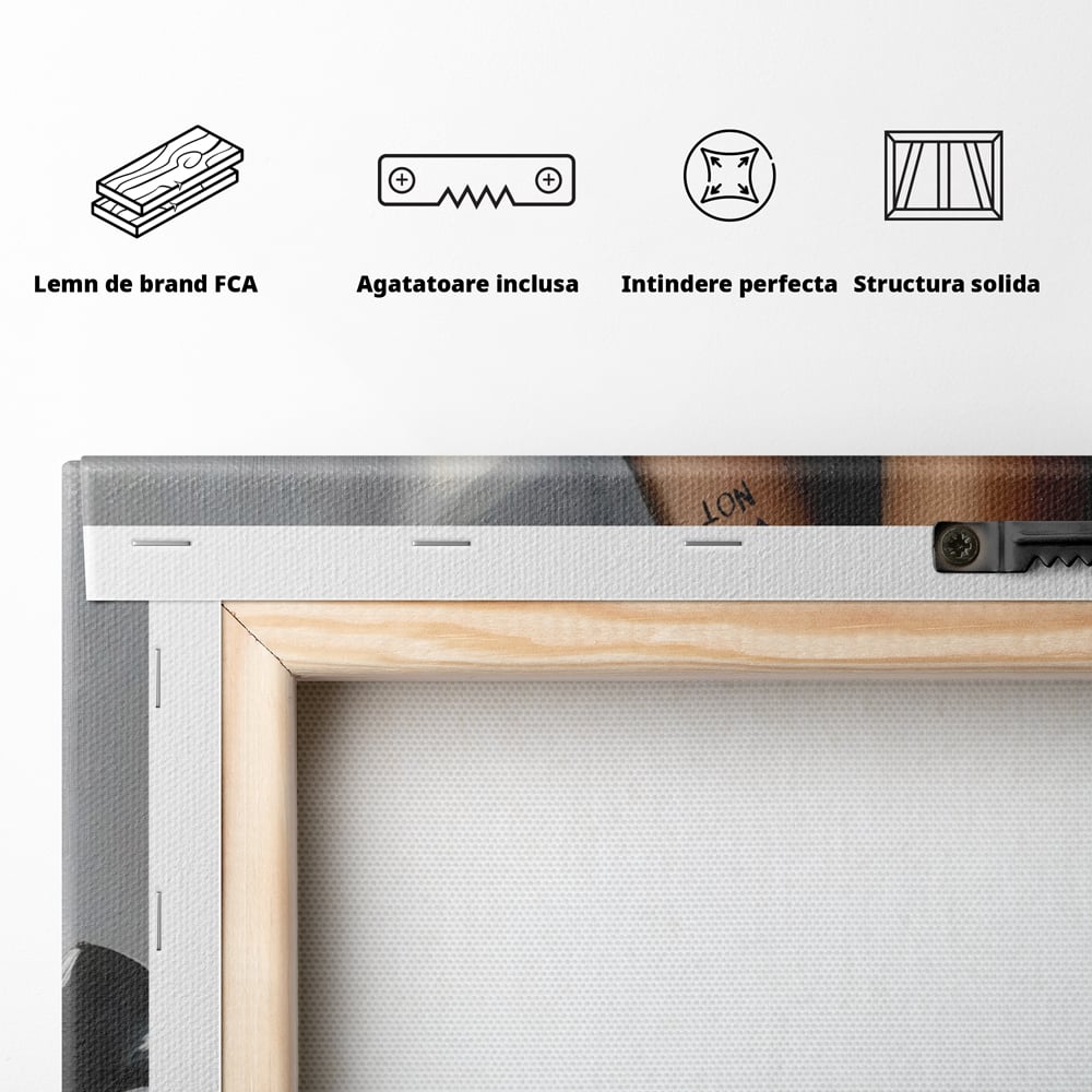 Tablou Canvas Premium LuxCanva® C1015, Pantofi Cu Toc Cui , Pantofi, Culori, Mesaj, Living, Dormitor, Birou, Relaxare, Culori Vibrante