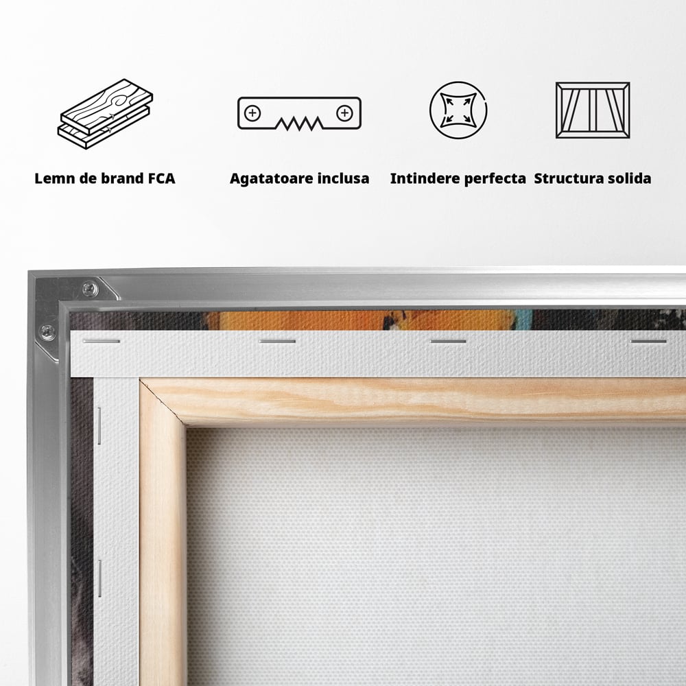 Tablou Canvas Premium LuxCanva® C1017, Culori Abstracte Pe Pinza , Culori, Living, Birou, Relaxare, Culori Vibrante