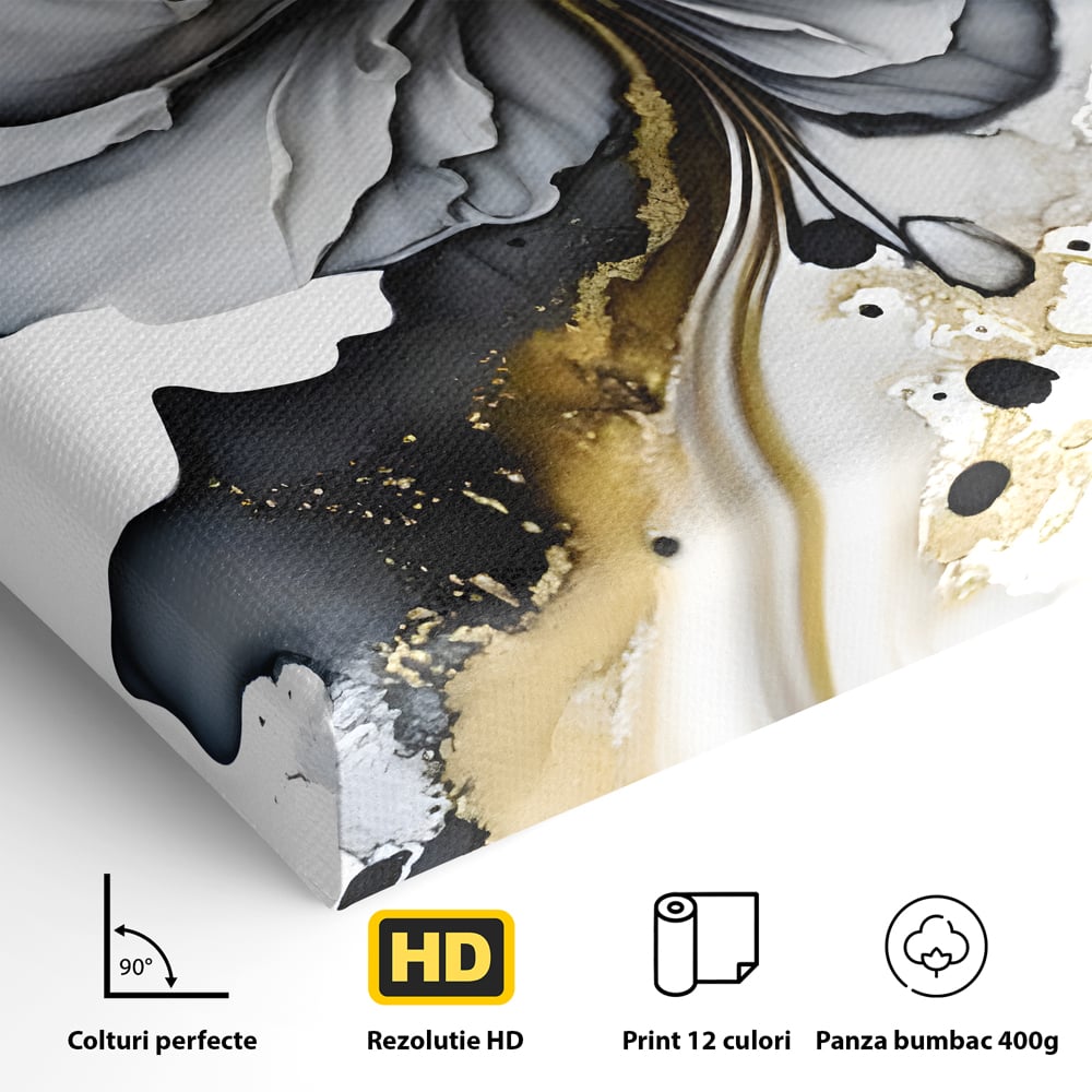 Tablou Canvas Premium LuxCanva® C1020, Black Rose , Culori, Abstract, Dormitor, Living, Relaxare, Culori Vibrante