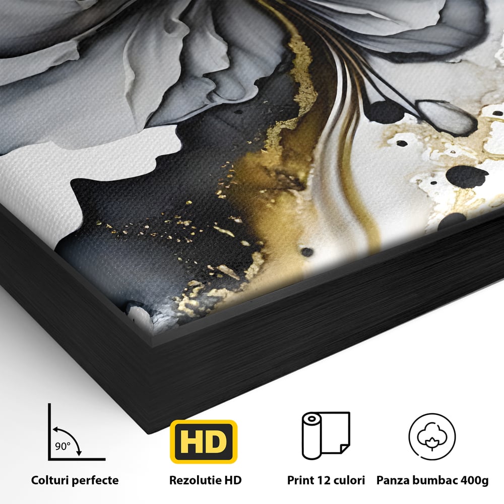 Tablou Canvas Premium LuxCanva® C1020, Black Rose , Culori, Abstract, Dormitor, Living, Relaxare, Culori Vibrante