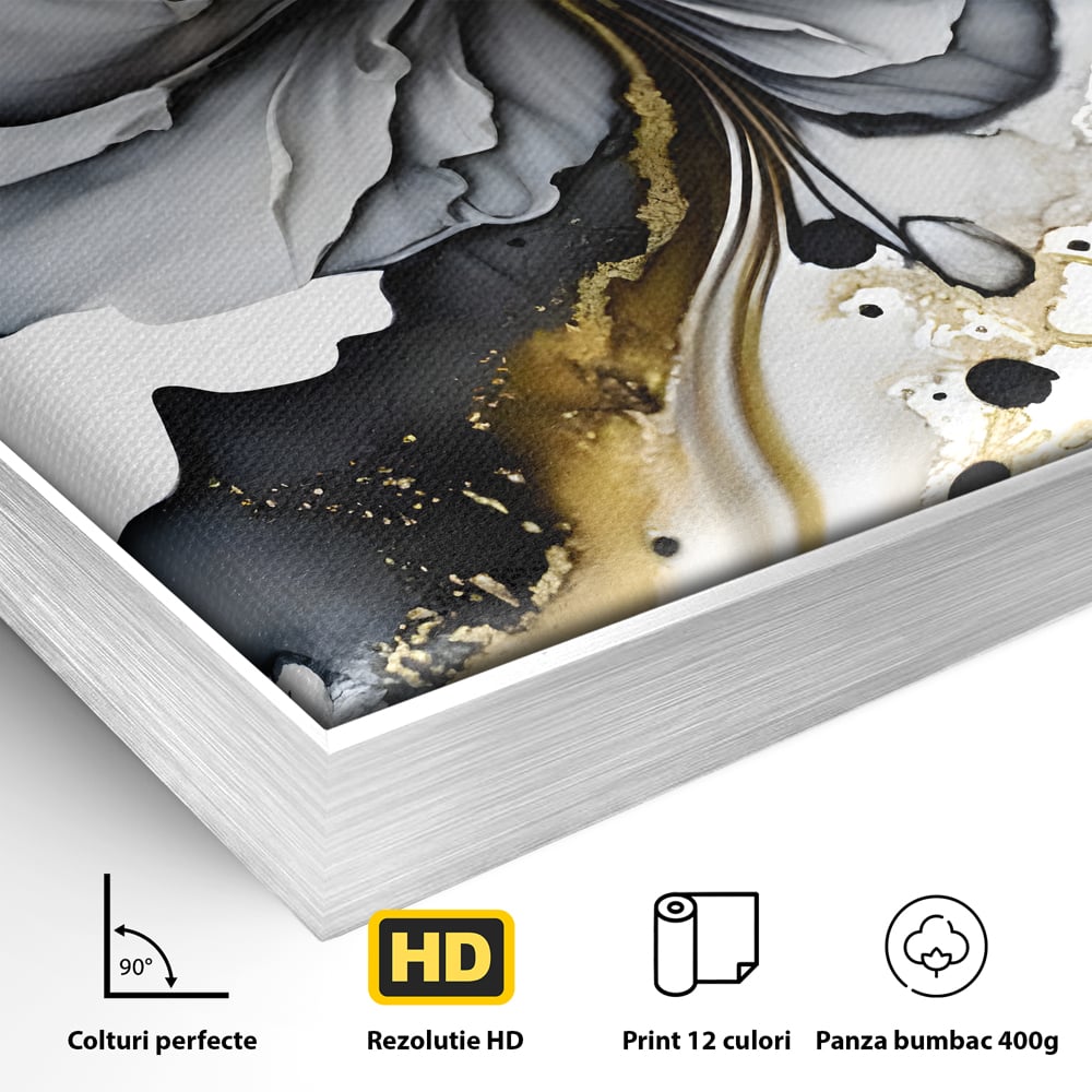 Tablou Canvas Premium LuxCanva® C1020, Black Rose , Culori, Abstract, Dormitor, Living, Relaxare, Culori Vibrante