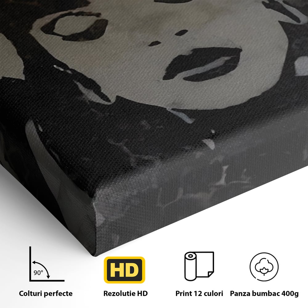 Tablou Canvas Premium LuxCanva® C1022, R&B Music Queen Rihanna , Culori, Queen Rihanna, Artist, Muzica, Dormitor, Living, Relaxare, Culori Vibrante