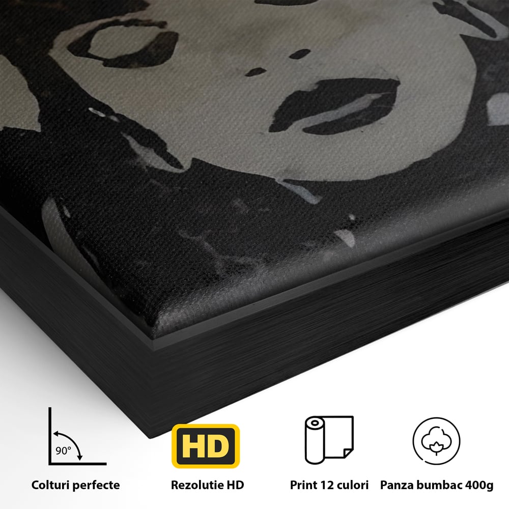 Tablou Canvas Premium LuxCanva® C1022, R&B Music Queen Rihanna , Culori, Queen Rihanna, Artist, Muzica, Dormitor, Living, Relaxare, Culori Vibrante