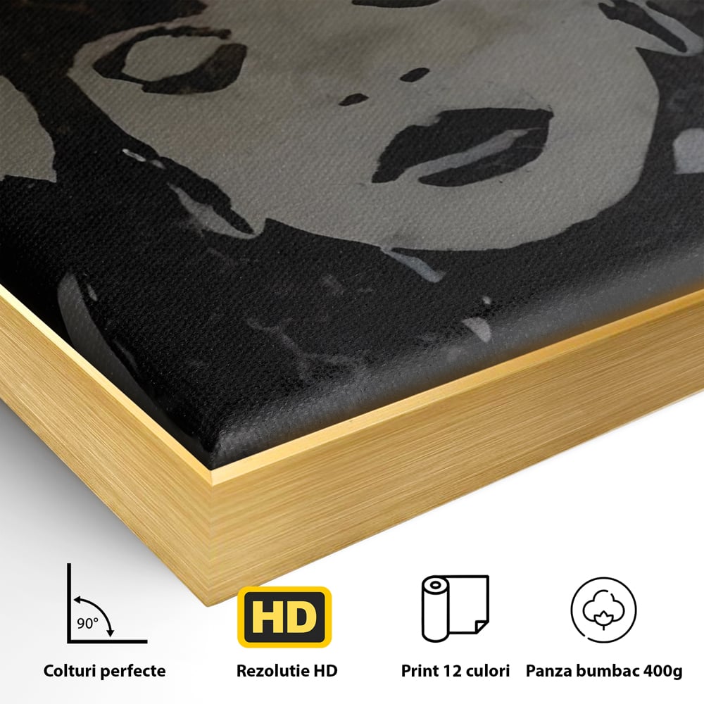 Tablou Canvas Premium LuxCanva® C1022, R&B Music Queen Rihanna , Culori, Queen Rihanna, Artist, Muzica, Dormitor, Living, Relaxare, Culori Vibrante