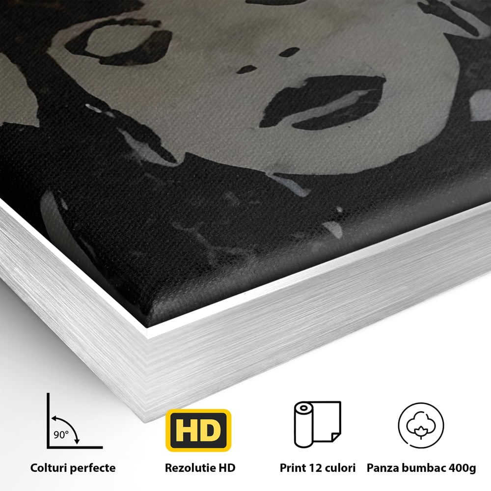 Tablou Canvas Premium LuxCanva® C1022, R&B Music Queen Rihanna , Culori, Queen Rihanna, Artist, Muzica, Dormitor, Living, Relaxare, Culori Vibrante