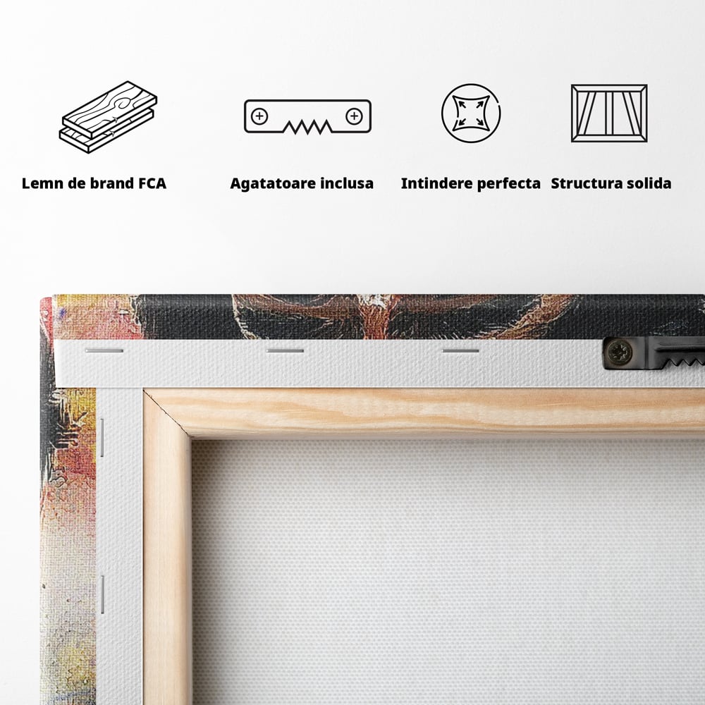 Tablou Canvas Premium LuxCanva® C1030, Diego Armando Maradona , Culori, Maradona, Fotbalist, Argentina, Game Room, Camera Copilului, Relaxare, Culori Vibrante