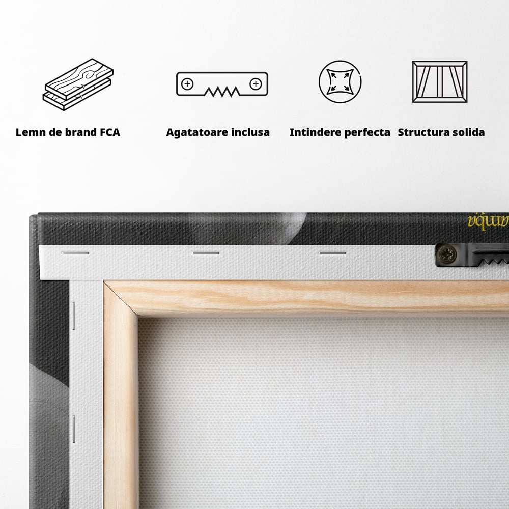 Tablou Canvas Premium LuxCanva® C1032, Kobe "Mamba" Bryant , Kobe, Mentality, Camera Copilului, Game Room, Bar, Relaxare, Culori Vibrante