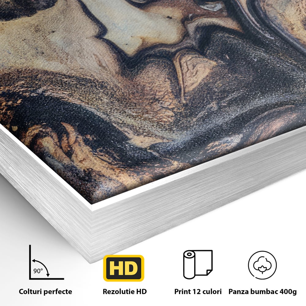 Tablou Canvas Premium LuxCanva® C1042, Abstract , Culori, Abstract, Office, Living Room, Relaxare, Culori Vibrante