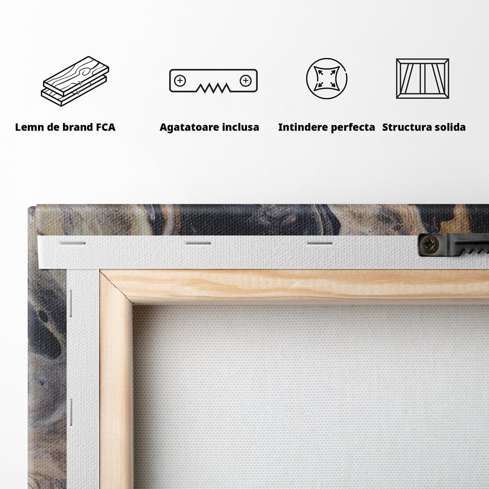 Tablou Canvas Premium LuxCanva® C1042, Abstract , Culori, Abstract, Office, Living Room, Relaxare, Culori Vibrante