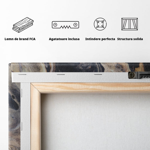 Tablou Canvas Premium LuxCanva® C1042, Abstract , Culori, Abstract, Office, Living Room, Relaxare, Culori Vibrante
