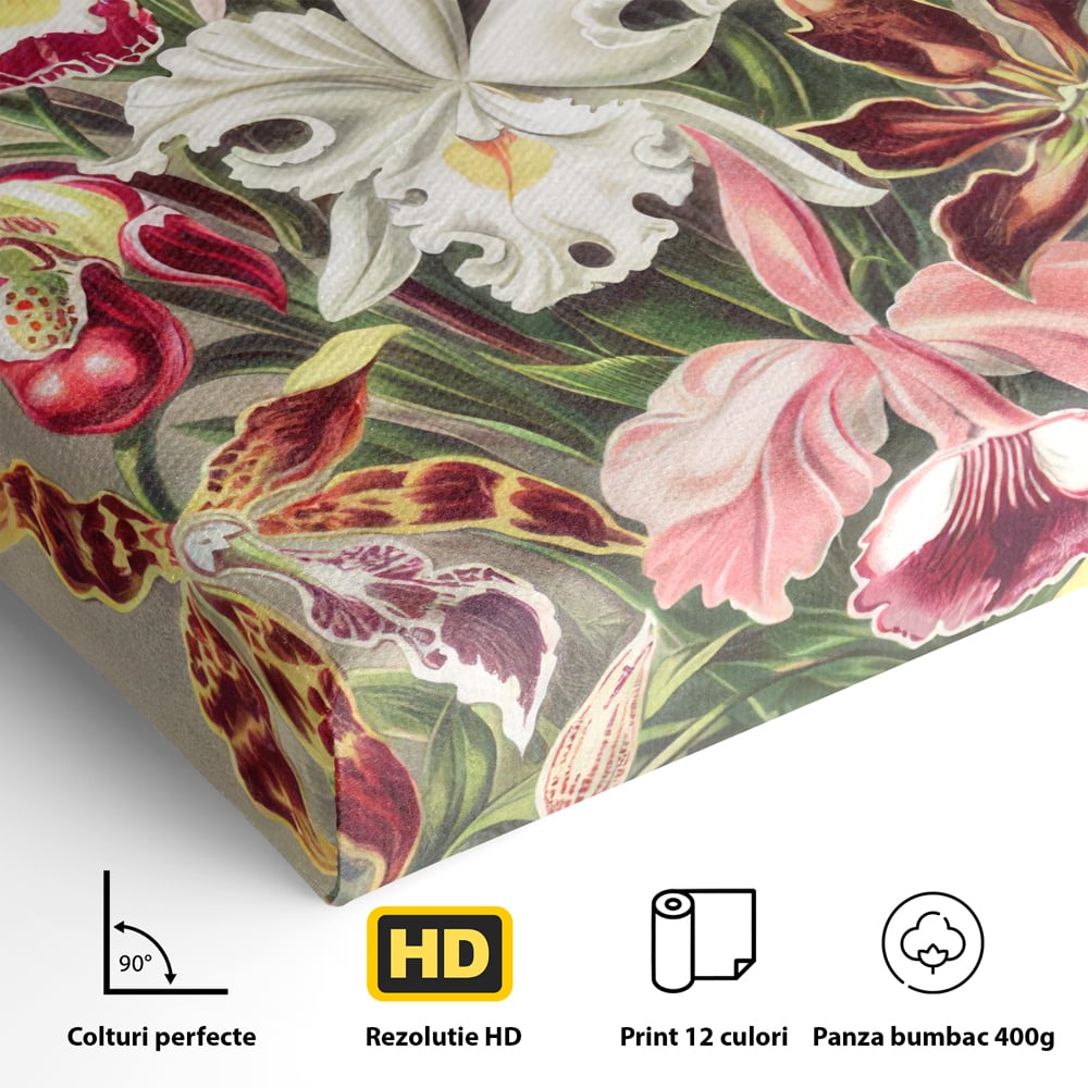 Tablou Canvas Premium LuxCanva® C1043, Orhidee Multicolore ,  Culori, Flori, Orhidee, Office, Living Room, Relaxare, Culori Vibrante