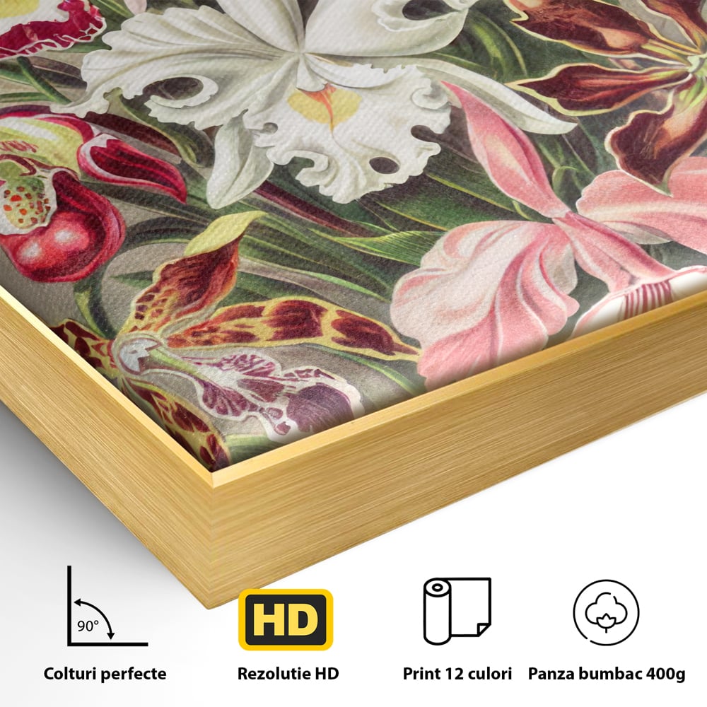 Tablou Canvas Premium LuxCanva® C1043, Orhidee Multicolore ,  Culori, Flori, Orhidee, Office, Living Room, Relaxare, Culori Vibrante