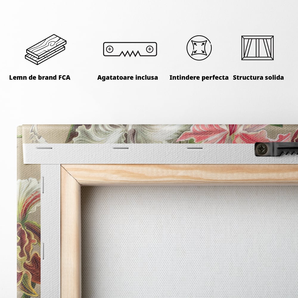 Tablou Canvas Premium LuxCanva® C1043, Orhidee Multicolore ,  Culori, Flori, Orhidee, Office, Living Room, Relaxare, Culori Vibrante