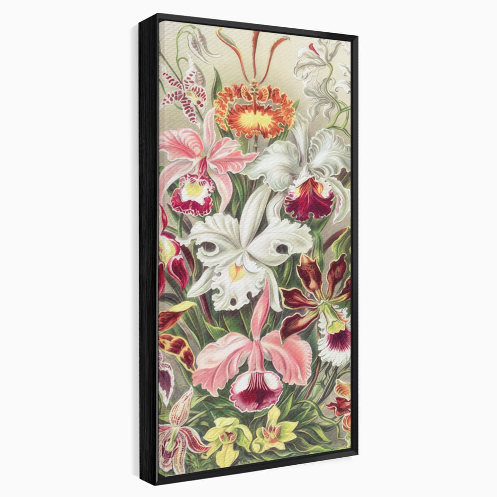 Tablou Canvas Premium LuxCanva® C1043, Orhidee Multicolore ,  Culori, Flori, Orhidee, Office, Living Room, Relaxare, Culori Vibrante