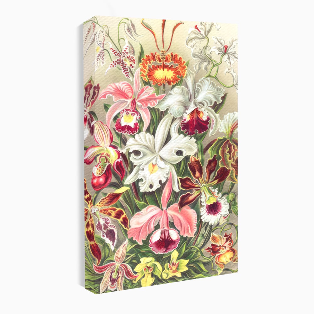 Tablou Canvas Premium LuxCanva® C1043, Orhidee Multicolore ,  Culori, Flori, Orhidee, Office, Living Room, Relaxare, Culori Vibrante