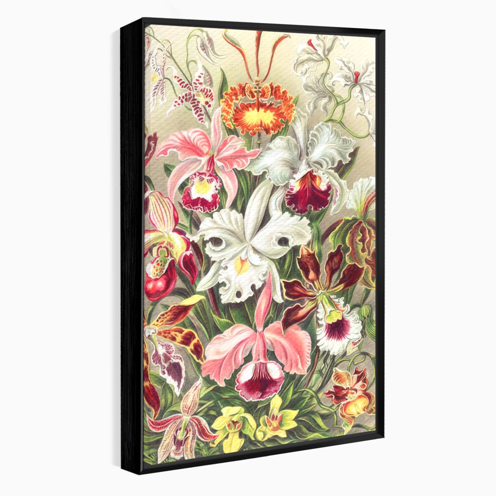 Tablou Canvas Premium LuxCanva® C1043, Orhidee Multicolore ,  Culori, Flori, Orhidee, Office, Living Room, Relaxare, Culori Vibrante