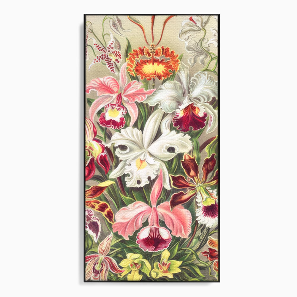 Tablou Canvas Premium LuxCanva® C1043, Orhidee Multicolore ,  Culori, Flori, Orhidee, Office, Living Room, Relaxare, Culori Vibrante