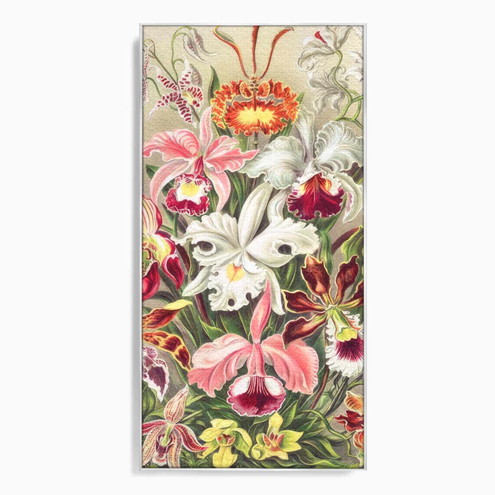 Tablou Canvas Premium LuxCanva® C1043, Orhidee Multicolore ,  Culori, Flori, Orhidee, Office, Living Room, Relaxare, Culori Vibrante