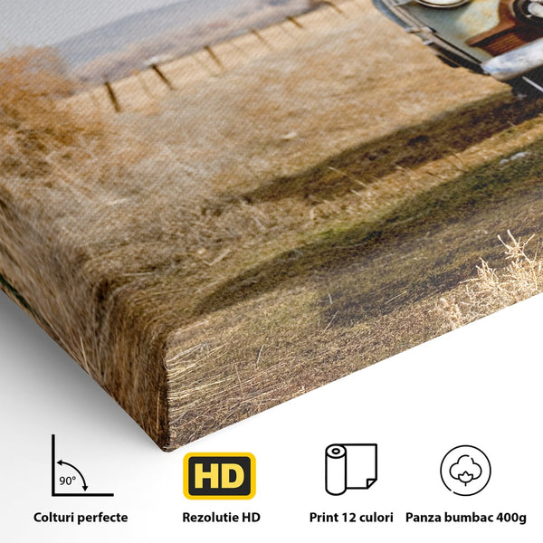 Tablou Canvas Premium LuxCanva® C1049, Old Cars ,  Culori, Backyard, Old Cars, Living Room, Bedroom, Relaxare, Culori Vibrante