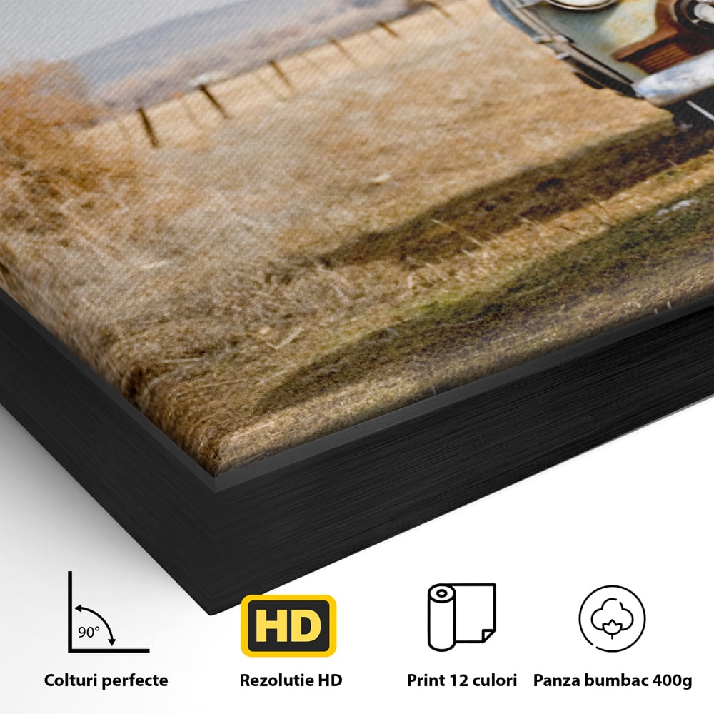 Tablou Canvas Premium LuxCanva® C1049, Old Cars ,  Culori, Backyard, Old Cars, Living Room, Bedroom, Relaxare, Culori Vibrante